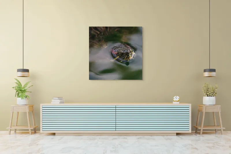 Tablou Canvas, "Broasca țestoasă plutește pe apă calmă", 100 x 100 cm – poza 5