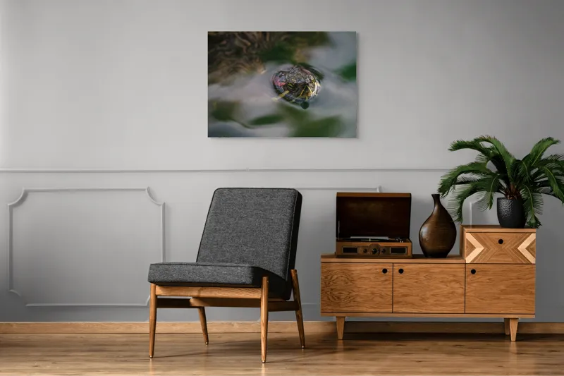 Tablou Canvas, "Broasca țestoasă plutește pe apă calmă", 100 x 70 cm – poza 8