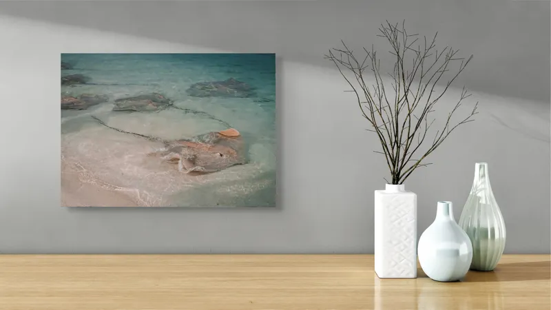 Tablou Canvas, "Stingray alunecând în apele limpezi", Razele, Apă, Nisip, Albastru, Valuri, Molenste, Liniște, Natură, 54 x 39 cm – poza 3