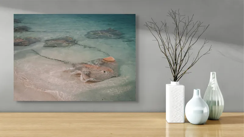 Tablou Canvas, "Stingray alunecând în apele limpezi", Razele, Apă, Nisip, Albastru, Valuri, Molenste, Liniște, Natură, 70 x 50 cm – poza 3