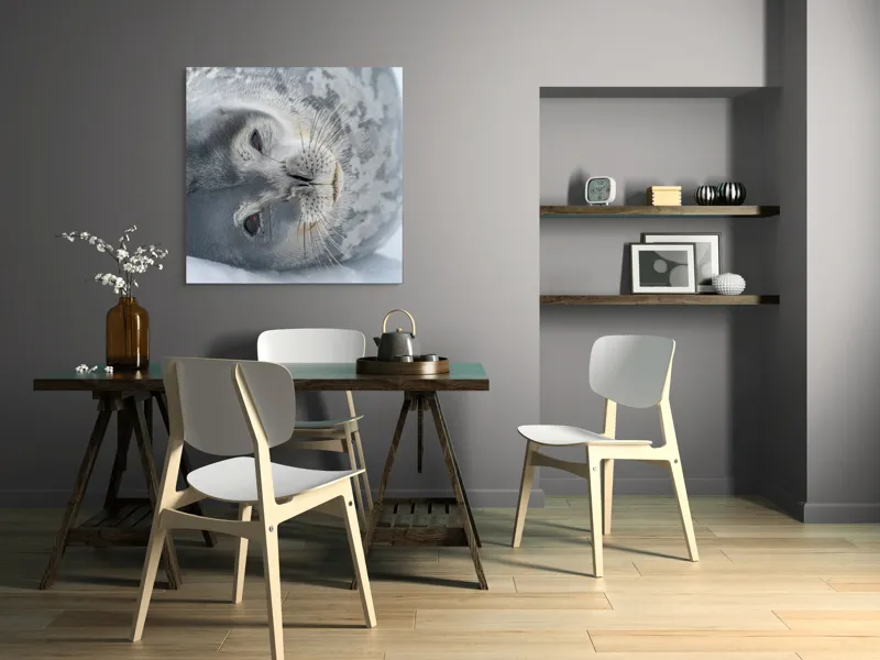 Tablou Canvas, "Visul odihnit al focii somnoroase", Sigiliu, Relaxat, Zăpadă, Mustăți, Piele, Gheață, Ochi, Blană, Calm, Fundal Alb, 100 x 100 cm – poza 6