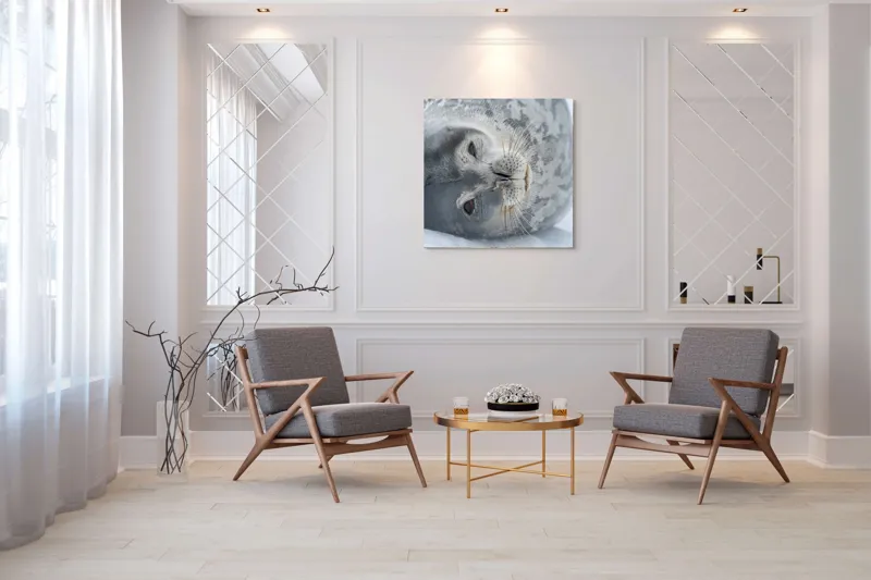 Tablou Canvas, "Visul odihnit al focii somnoroase", Sigiliu, Relaxat, Zăpadă, Mustăți, Piele, Gheață, Ochi, Blană, Calm, Fundal Alb, 100 x 100 cm – poza 7