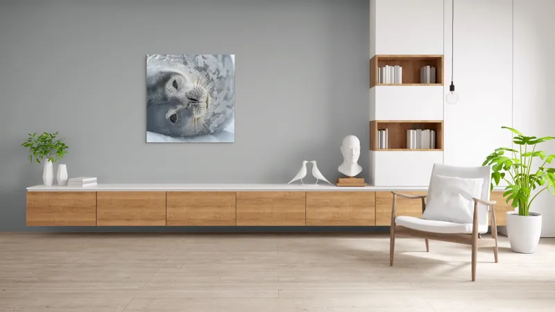 Tablou Canvas, "Visul odihnit al focii somnoroase", Sigiliu, Relaxat, Zăpadă, Mustăți, Piele, Gheață, Ochi, Blană, Calm, Fundal Alb, 100 x 100 cm – poza 8