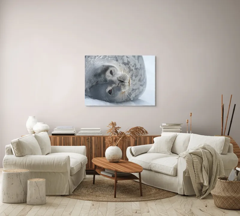 Tablou Canvas, "Visul odihnit al focii somnoroase", Sigiliu, Relaxat, Zăpadă, Mustăți, Piele, Gheață, Ochi, Blană, Calm, Fundal Alb, 100 x 70 cm – poza 3