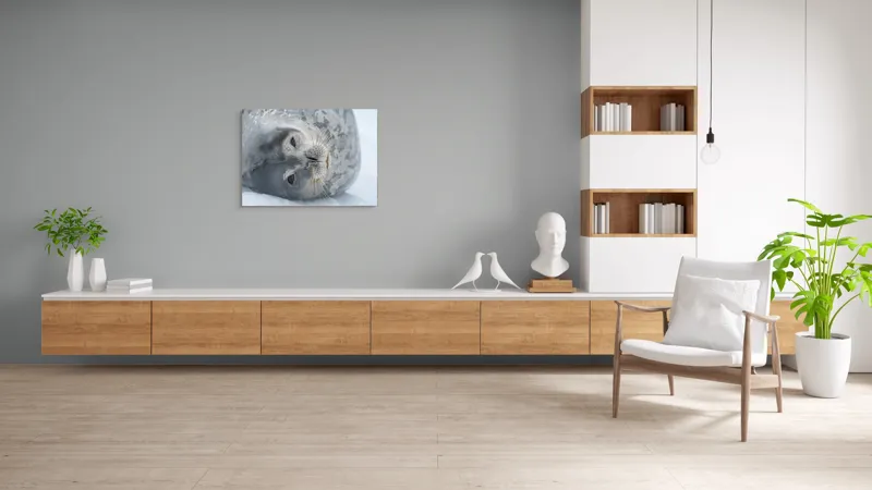 Tablou Canvas, "Visul odihnit al focii somnoroase", Sigiliu, Relaxat, Zăpadă, Mustăți, Piele, Gheață, Ochi, Blană, Calm, Fundal Alb, 100 x 70 cm – poza 6