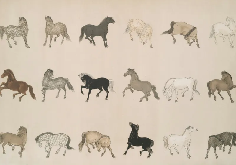 Tablou Canvas, "Cai în diferite mișcări și culori", Cal, Galop, Culoare, Contrast, Frumusețe, Eleganță, Diversitate, Mișcare, Formă, Dinamică, Grație, Artă, Compoziție, Natură, Siluetă, Postură., 100 x 70 cm – poza 2