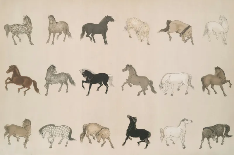 Tablou Canvas, "Cai în diferite mișcări și culori", Cal, Galop, Culoare, Contrast, Frumusețe, Eleganță, Diversitate, Mișcare, Formă, Dinamică, Grație, Artă, Compoziție, Natură, Siluetă, Postură., 150 x 100 cm – poza 2