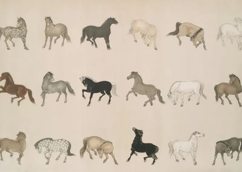 Tablou Canvas, "Cai în diferite mișcări și culori", Cal, Galop, Culoare, Contrast, Frumusețe, Eleganță, Diversitate, Mișcare, Formă, Dinamică, Grație, Artă, Compoziție, Natură, Siluetă, Postură., 70 x 50 cm – poza 2