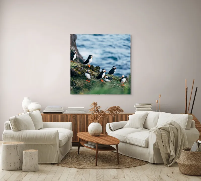 Tablou Canvas, "Papagalii de mare pe stânci verzi", Puffini, Ocean, Stâncă, Iarbă, Aripi, Plutire, Penaj, Bețe, Păsări, 100 x 100 cm – poza 3