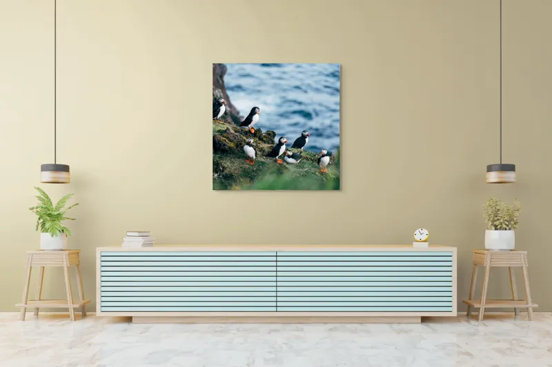 Tablou Canvas, "Papagalii de mare pe stânci verzi", Puffini, Ocean, Stâncă, Iarbă, Aripi, Plutire, Penaj, Bețe, Păsări, 100 x 100 cm – poza 5