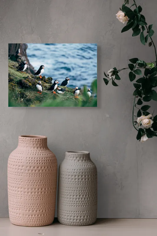 Tablou Canvas, "Papagalii de mare pe stânci verzi", Puffini, Ocean, Stâncă, Iarbă, Aripi, Plutire, Penaj, Bețe, Păsări, 54 x 39 cm – poza 8