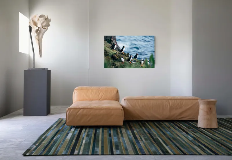 Tablou Canvas, "Papagalii de mare pe stânci verzi", Puffini, Ocean, Stâncă, Iarbă, Aripi, Plutire, Penaj, Bețe, Păsări, 90 x 50 cm – poza 8
