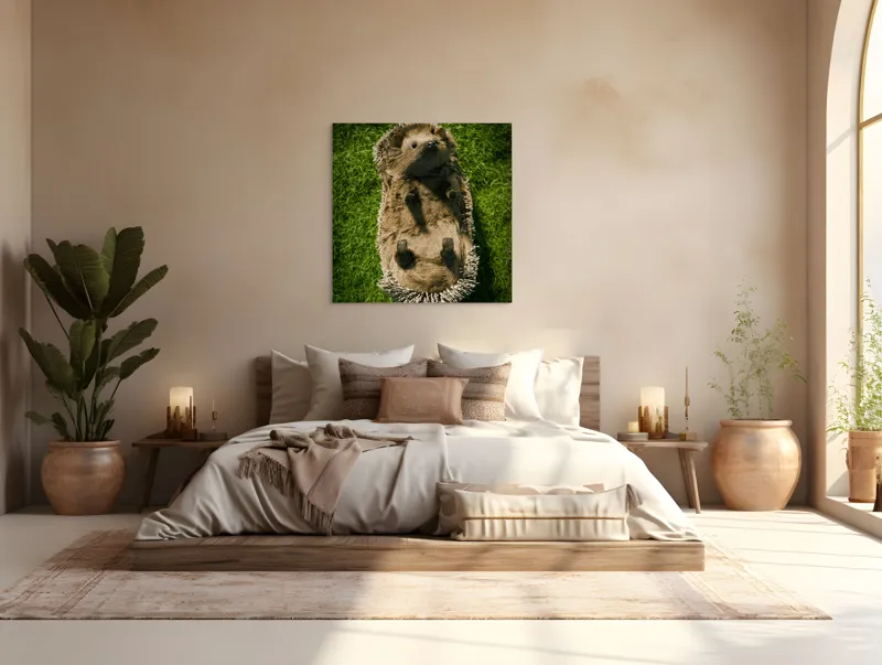 Tablou Canvas, "Ariciul somnoros pe iarba verde", Spini, Blană, Iarbă, Nas, Ochisori, Gheruțe, Voinic, Drăgălășenie, Natură, 100 x 100 cm – poza 4