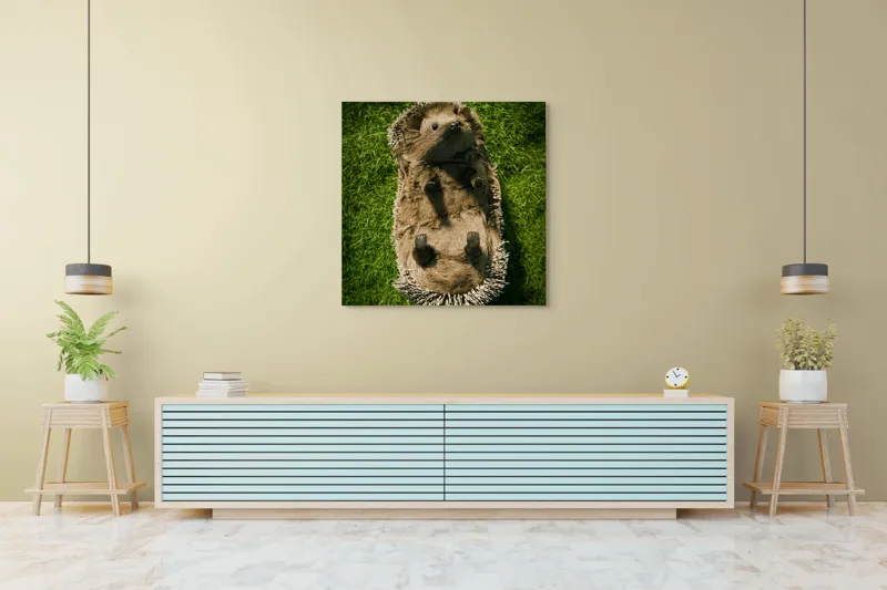 Tablou Canvas, "Ariciul somnoros pe iarba verde", Spini, Blană, Iarbă, Nas, Ochisori, Gheruțe, Voinic, Drăgălășenie, Natură, 100 x 100 cm – poza 5
