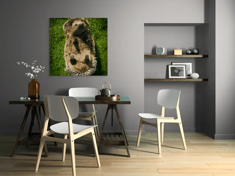 Tablou Canvas, "Ariciul somnoros pe iarba verde", Spini, Blană, Iarbă, Nas, Ochisori, Gheruțe, Voinic, Drăgălășenie, Natură, 100 x 100 cm – poza 6