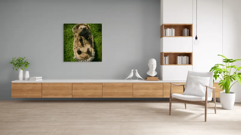 Tablou Canvas, "Ariciul somnoros pe iarba verde", Spini, Blană, Iarbă, Nas, Ochisori, Gheruțe, Voinic, Drăgălășenie, Natură, 100 x 100 cm – poza 8