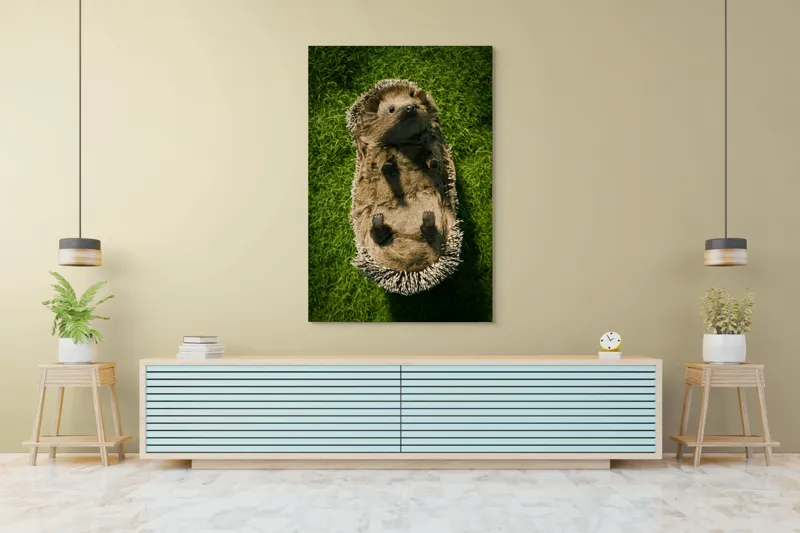 Tablou Canvas, "Ariciul somnoros pe iarba verde", Spini, Blană, Iarbă, Nas, Ochisori, Gheruțe, Voinic, Drăgălășenie, Natură, 100 x 150 cm – poza 4