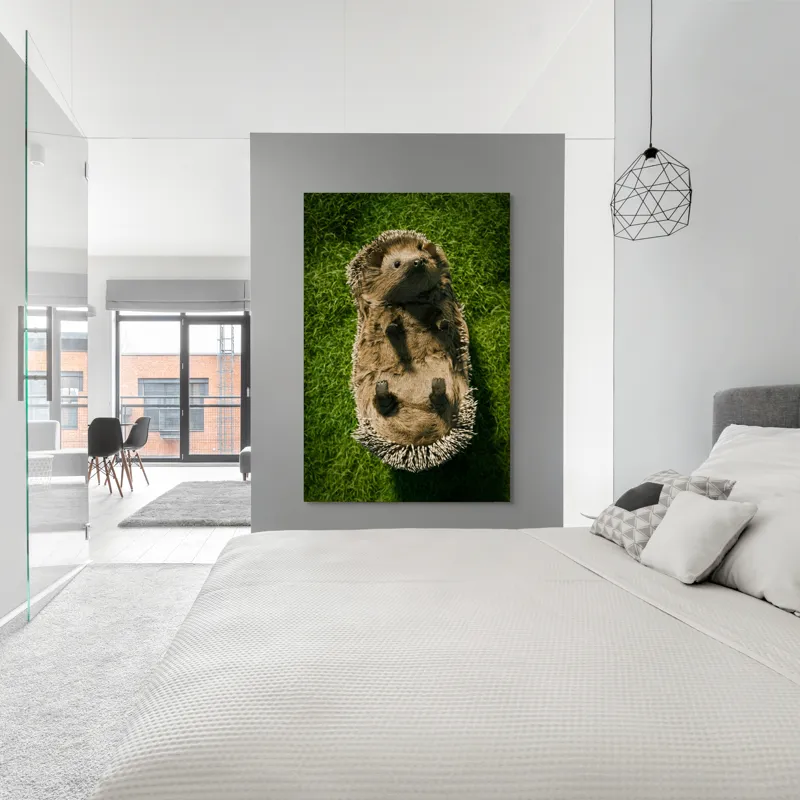 Tablou Canvas, "Ariciul somnoros pe iarba verde", Spini, Blană, Iarbă, Nas, Ochisori, Gheruțe, Voinic, Drăgălășenie, Natură, 100 x 150 cm – poza 5