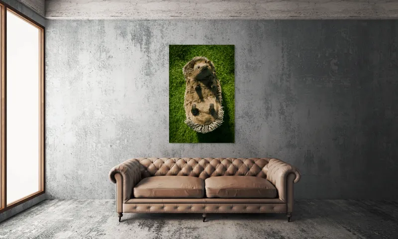 Tablou Canvas, "Ariciul somnoros pe iarba verde", Spini, Blană, Iarbă, Nas, Ochisori, Gheruțe, Voinic, Drăgălășenie, Natură, 100 x 150 cm – poza 6