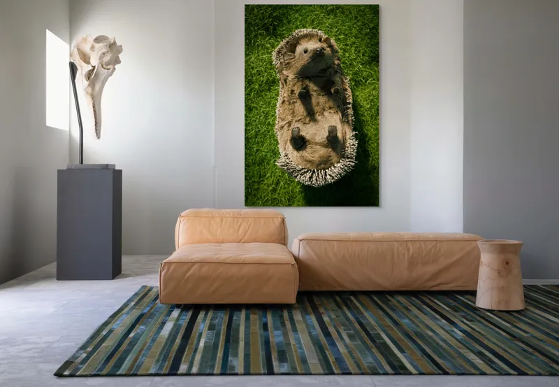 Tablou Canvas, "Ariciul somnoros pe iarba verde", Spini, Blană, Iarbă, Nas, Ochisori, Gheruțe, Voinic, Drăgălășenie, Natură, 100 x 150 cm – poza 7