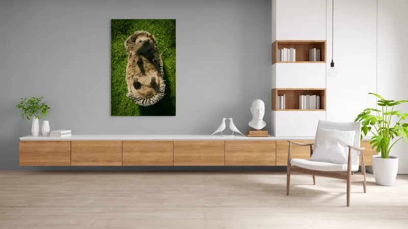 Tablou Canvas, "Ariciul somnoros pe iarba verde", Spini, Blană, Iarbă, Nas, Ochisori, Gheruțe, Voinic, Drăgălășenie, Natură, 100 x 150 cm – poza 8