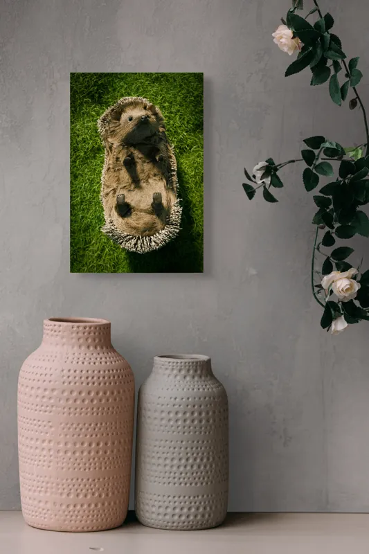 Tablou Canvas, "Ariciul somnoros pe iarba verde", Spini, Blană, Iarbă, Nas, Ochisori, Gheruțe, Voinic, Drăgălășenie, Natură, 26 x 39 cm – poza 6