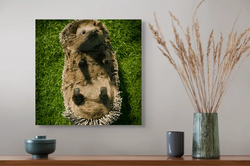 Tablou Canvas, "Ariciul somnoros pe iarba verde", Spini, Blană, Iarbă, Nas, Ochisori, Gheruțe, Voinic, Drăgălășenie, Natură, 50 x 50 cm – poza 4