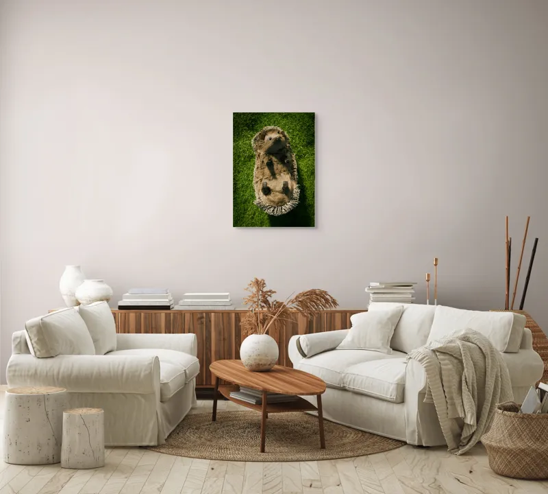 Tablou Canvas, "Ariciul somnoros pe iarba verde", Spini, Blană, Iarbă, Nas, Ochisori, Gheruțe, Voinic, Drăgălășenie, Natură, 50 x 70 cm – poza 4