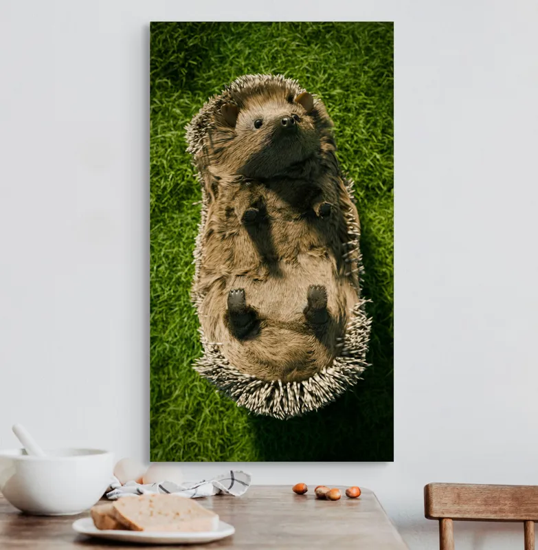Tablou Canvas, "Ariciul somnoros pe iarba verde", Spini, Blană, Iarbă, Nas, Ochisori, Gheruțe, Voinic, Drăgălășenie, Natură, 50 x 90 cm – poza 3