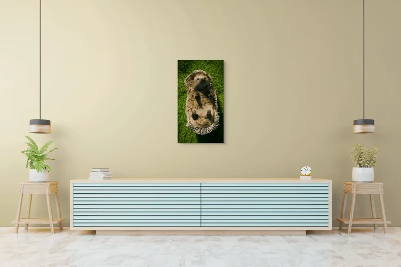 Tablou Canvas, "Ariciul somnoros pe iarba verde", Spini, Blană, Iarbă, Nas, Ochisori, Gheruțe, Voinic, Drăgălășenie, Natură, 50 x 90 cm – poza 6