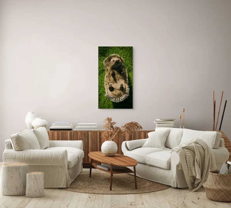 Tablou Canvas, "Ariciul somnoros pe iarba verde", Spini, Blană, Iarbă, Nas, Ochisori, Gheruțe, Voinic, Drăgălășenie, Natură, 50 x 90 cm – poza 7
