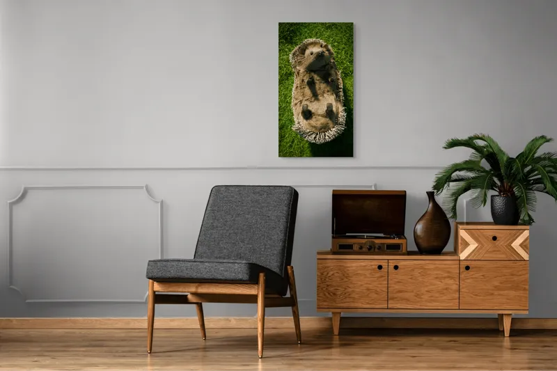 Tablou Canvas, "Ariciul somnoros pe iarba verde", Spini, Blană, Iarbă, Nas, Ochisori, Gheruțe, Voinic, Drăgălășenie, Natură, 50 x 90 cm – poza 8