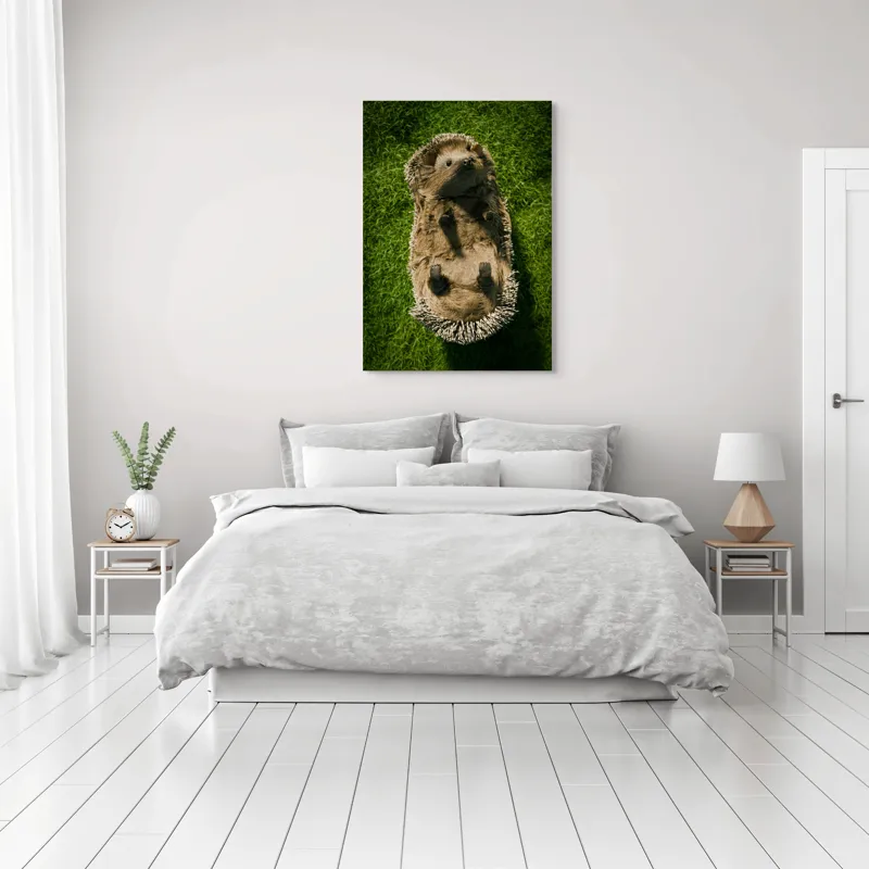 Tablou Canvas, "Ariciul somnoros pe iarba verde", Spini, Blană, Iarbă, Nas, Ochisori, Gheruțe, Voinic, Drăgălășenie, Natură, 70 x 100 cm – poza 3