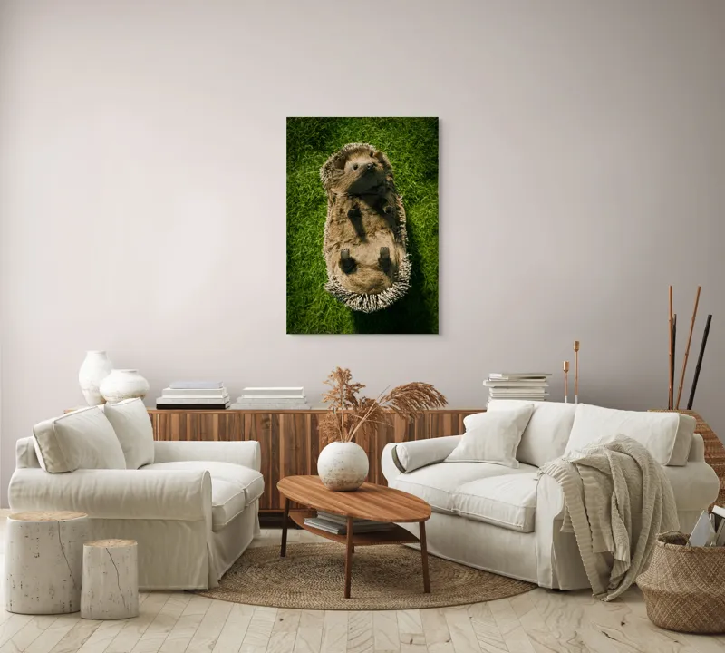 Tablou Canvas, "Ariciul somnoros pe iarba verde", Spini, Blană, Iarbă, Nas, Ochisori, Gheruțe, Voinic, Drăgălășenie, Natură, 70 x 100 cm – poza 4