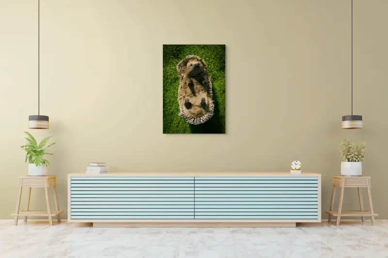 Tablou Canvas, "Ariciul somnoros pe iarba verde", Spini, Blană, Iarbă, Nas, Ochisori, Gheruțe, Voinic, Drăgălășenie, Natură, 70 x 100 cm – poza 5