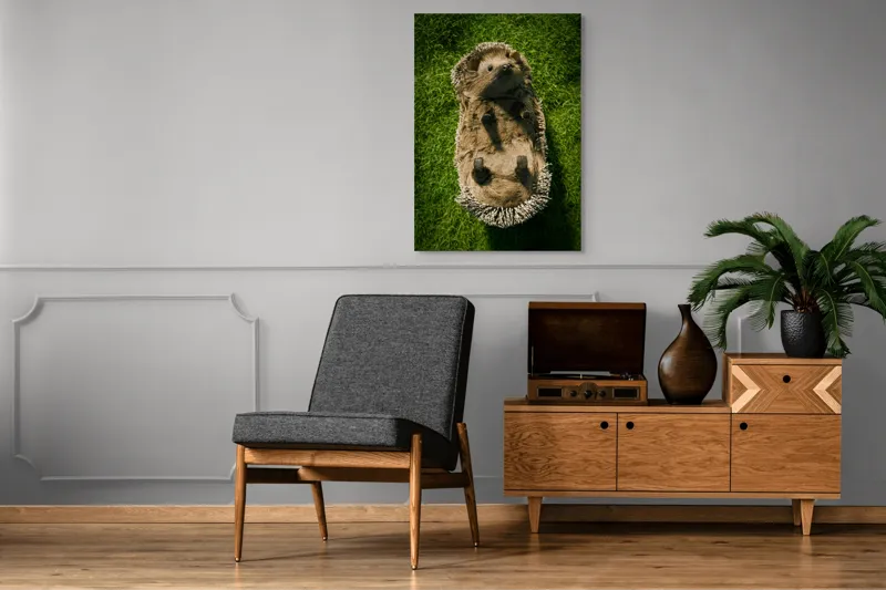 Tablou Canvas, "Ariciul somnoros pe iarba verde", Spini, Blană, Iarbă, Nas, Ochisori, Gheruțe, Voinic, Drăgălășenie, Natură, 70 x 100 cm – poza 6