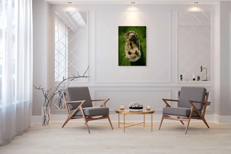 Tablou Canvas, "Ariciul somnoros pe iarba verde", Spini, Blană, Iarbă, Nas, Ochisori, Gheruțe, Voinic, Drăgălășenie, Natură, 70 x 100 cm – poza 8