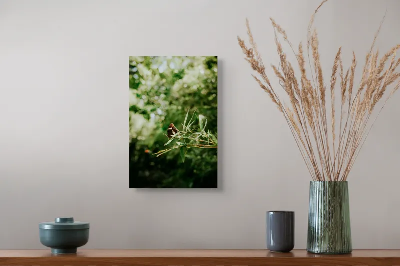 Tablou Canvas, "Fluture liniștit pe ramură verde", Fluture, Frunze, Verdeață, Natură, Bokeh, Fragilitate, Lumină, 26 x 39 cm – poza 5