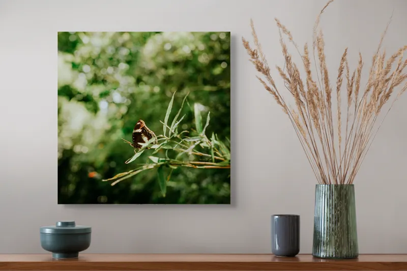 Tablou Canvas, "Fluture liniștit pe ramură verde", Fluture, Frunze, Verdeață, Natură, Bokeh, Fragilitate, Lumină, 50 x 50 cm – poza 4