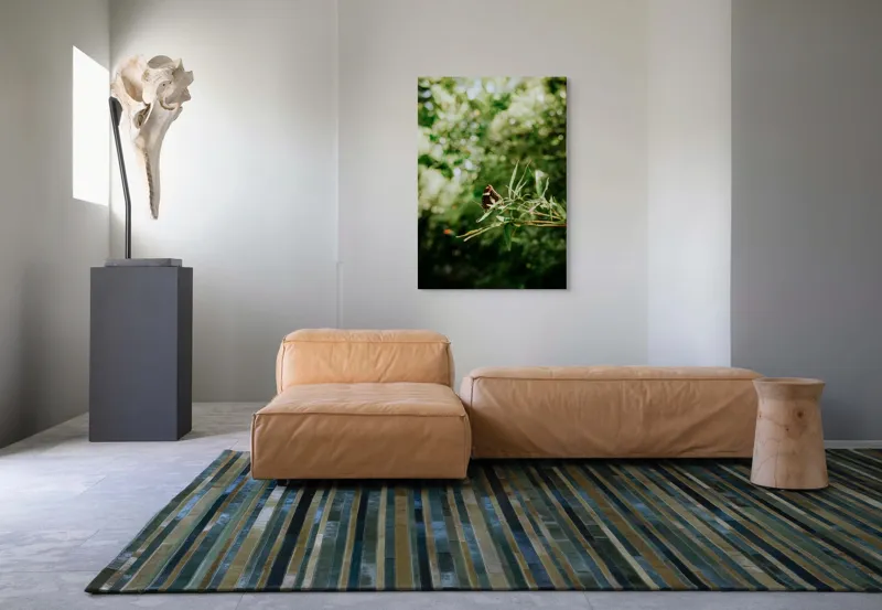 Tablou Canvas, "Fluture liniștit pe ramură verde", Fluture, Frunze, Verdeață, Natură, Bokeh, Fragilitate, Lumină, 70 x 100 cm – poza 7