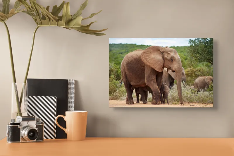 Tablou Canvas, "Familie de elefanți în savană africană", Elefanți, Savana, Verdeață, Familie, Natură, Tufișuri, Pui, Urechi Mari, Trunchiuri, Pășuni, 39 x 26 cm – poza 3