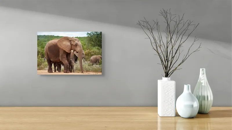 Tablou Canvas, "Familie de elefanți în savană africană", Elefanți, Savana, Verdeață, Familie, Natură, Tufișuri, Pui, Urechi Mari, Trunchiuri, Pășuni, 39 x 26 cm – poza 8