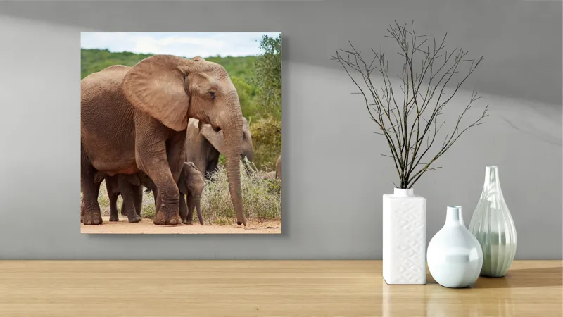 Tablou Canvas, "Familie de elefanți în savană africană", Elefanți, Savana, Verdeață, Familie, Natură, Tufișuri, Pui, Urechi Mari, Trunchiuri, Pășuni, 50 x 50 cm – poza 3