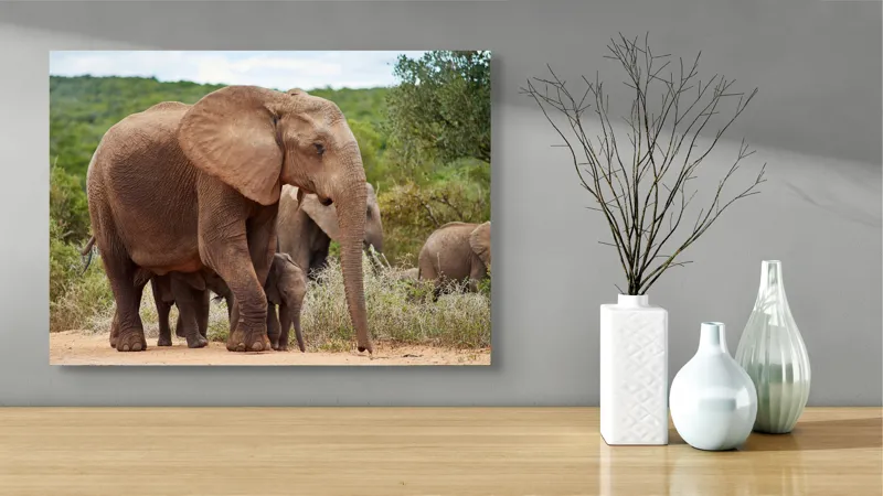 Tablou Canvas, "Familie de elefanți în savană africană", Elefanți, Savana, Verdeață, Familie, Natură, Tufișuri, Pui, Urechi Mari, Trunchiuri, Pășuni, 70 x 50 cm – poza 3