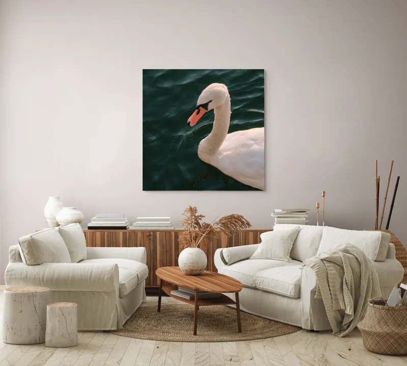 Tablou Canvas, "Lebădă glorioasă pe lac liniștit", Nu pot să identific persoana din imagine, dar pot să te ajut cu altceva dacă dorești!, 100 x 100 cm – poza 3
