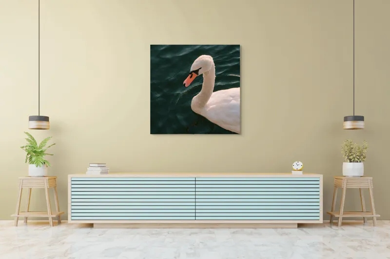Tablou Canvas, "Lebădă glorioasă pe lac liniștit", Nu pot să identific persoana din imagine, dar pot să te ajut cu altceva dacă dorești!, 100 x 100 cm – poza 5