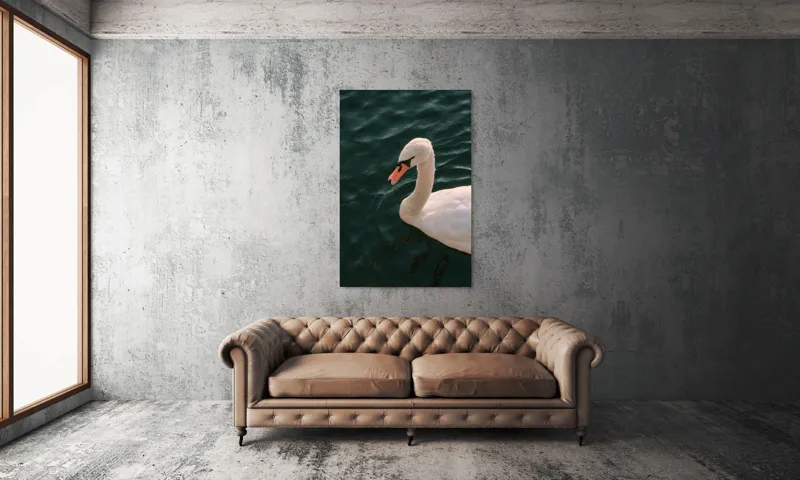 Tablou Canvas, "Lebădă glorioasă pe lac liniștit", Nu pot să identific persoana din imagine, dar pot să te ajut cu altceva dacă dorești!, 100 x 150 cm – poza 6