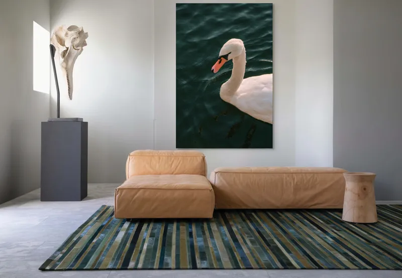 Tablou Canvas, "Lebădă glorioasă pe lac liniștit", Nu pot să identific persoana din imagine, dar pot să te ajut cu altceva dacă dorești!, 100 x 150 cm – poza 7