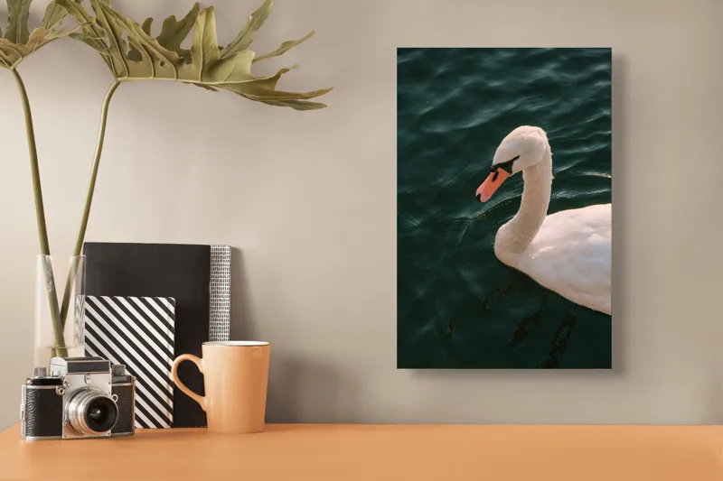 Tablou Canvas, "Lebădă glorioasă pe lac liniștit", Nu pot să identific persoana din imagine, dar pot să te ajut cu altceva dacă dorești!, 26 x 39 cm – poza 3