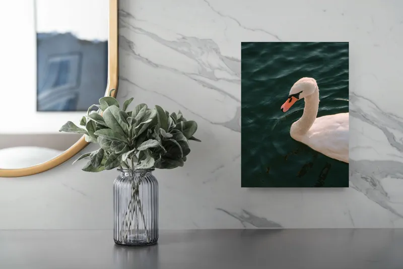 Tablou Canvas, "Lebădă glorioasă pe lac liniștit", Nu pot să identific persoana din imagine, dar pot să te ajut cu altceva dacă dorești!, 26 x 39 cm – poza 4